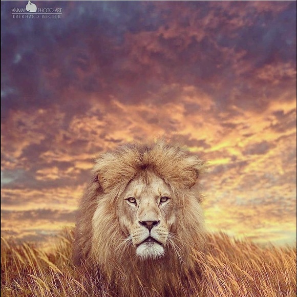 Meet your Posher, Sheree - Picture 10 of 16